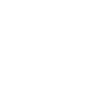 white-geo-logo
